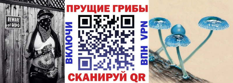 Галлюциногенные грибы прущие грибы  Купить где  Любань 